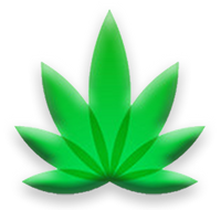 Cannakamz